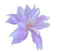 Forcine per capelli per bambini a forma di fiore per spiaggia palcoscenico danza usura fiore artificiale anni 2000 ragazze copricapo vacanza