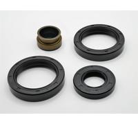 Ford Bc- Set Guarnizioni Olio Scatola Del Cambio Escort Fiesta Orion