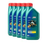 Ford CASTROL Magnatec 5W-20 E Olio Motore PKW, FORD WSS-M2C948-B, 5x1 Litro