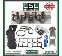 Ford Transit YMF6 YNF6 Custom 2.0 D Originale Albero Pompa Olio + Rebuild Parti