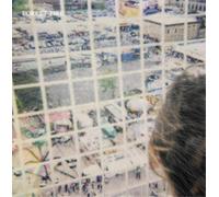 Forest Fire Staring at the X (Vinyl LP) 12" Album