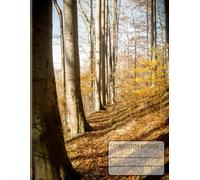 Forest Path Composition Notebook: Beech Tree Trail Journal | 8.5 x 11 Inches, 100 Lined Pages: Peaceful Forest Notebook with Beech Tree Path - Perfect for Writing, Journaling, or School Notes