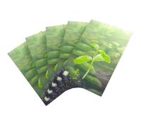 Forest Shuffle - Art Sleeves (185 Bustine)