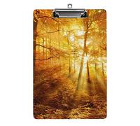 Foresta autunnale Luce solare attraverso la nebbia Appunti formato A4 Divertente lavoro estetico Studiare Lettera Lavagna per appunti standard 12,5×8,5 in faesite per l'aula scolastica Bambini che s