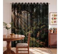 Foresta Illuminata Dal Mattino Tende Oscuranti per Interni, 2 Pannelli, 140x160cm, Sentiero Foresta Pietra Tende Termiche Isolanti Caldo e Freddo Tenda con Occhielli per Camera da Letto Salotto