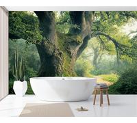 Foresta naturale Carta Da Parati Panoramica 350x256cm, Sentiero della foresta di querce Parati Seta, Turchese Grandi Murali Per Soggiorno Camera Da Letto Studio
