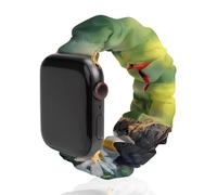 Forests Birds Cardinal Bird Scrunchie Cinturino di ricambio morbido elastico compatibile con Apple Watch, 38mm/40mm, Acciaio inossidabile, Nessuna pietra preziosa