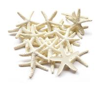 Forever bene 25 Pezzi Stelle Marine in Resina Artificiale 5,8cm - Decorazioni Realistiche per Vasi, Matrimonio, Artigianato Fai da Te, Ornamento Marino Fragile (Crema)