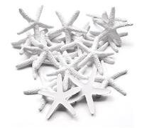 Forever bene 25 Pezzi Stelle Marine in Resina Artificiale 5,8cm - Decorazioni Realistiche per Vasi, Matrimonio, Artigianato Fai da Te, Ornamento Marino Fragile (Bianco)
