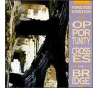 Forever Einstein - Opportunity Crosses Thebridge