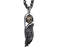 ForFox Collana ciondolo ali d'angelo piume con stella di david e occhio di horus in acciaio inossidabile titanio nero per uomo 27 pollici catena