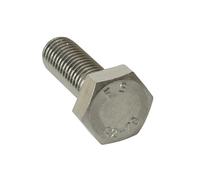 Forgefix Alta Resistenza Set Vite Placcati Zinco M10 - 30mm Borsa 10