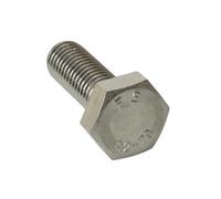 Forgefix Alta Resistenza Set Vite Placcati Zinco M10 X 50mm Borsa 10