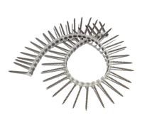 Forgefix Cartongesso Collated Vite Phillips Bugle Testa Sct 3.9 x 45mm Box 1000