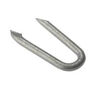 Forgefix NS30GB500 - Punto meccanico zincato per rete, 500 g