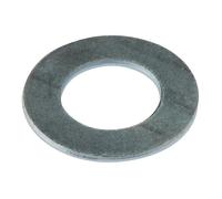 Forgefix Rondella Penny Piatta ZP M5 x 25mm Confezione 10 FORPENY5M