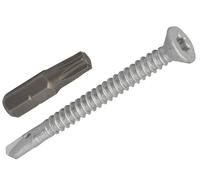 Forgefix Techfast per Tetti Vite Legname - Acciaio Luce Sezione 5.5 x 60mm Set