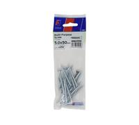 Forgefix Vite Pozi Multiuso 5.0 X 50Mm ForgePack 20 ZP FORFPMS550Z