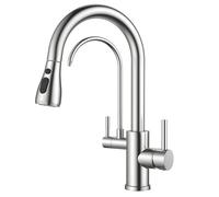 FORIOUS Rubinetto Lavello Cucina, Miscelatore a tre vie, Girevole a 360° Rubinetto Cucina con Doccetta Estraibile e Filtro Dell'acqua, Miscelatore a doppia maniglia, Acciaio Inox