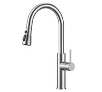 FORIOUS Rubinetto Lavello Cucina, Miscelatore Cucina con Doccetta Estraibile, 2 Modalità di Spruzzo, Girevole a 360° Acciaio Inox, Maniglia Singola per Acqua Calda e Fredda Rubinetto Miscelatore