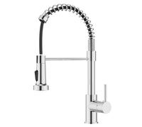 FORIOUS Rubinetto Lavello Cucina, Miscelatore Cucina con Doccetta Estraibile, Acciaio Inossidabile, Rotazione a 360°e Doppia Funzione Di Spruzzo, Cromo Lucido