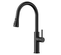 FORIOUS Rubinetto Lavello Cucina Nero, Miscelatore Cucina con Doccetta Estraibile, 2 Modalità di Spruzzo, Girevole a 360° Acciaio Inox, Maniglia Singola per Acqua Calda e Fredda Rubinetto Miscelatore