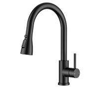 FORIOUS Rubinetto Lavello Cucina, Rubinetto Miscelatore con Doccetta Estraibile, Miscelatore Cucina girevole a 360°, adatto per lavelli con curvatura elevata, 2 modalità, Nero Matte