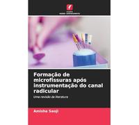 Formação de microfissuras após instrumentação do canal radicular: Uma revisão da literatura