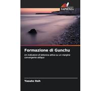 Formazione di Gunchu: Un indicatore di tettonica attiva su un margine convergente obliquo