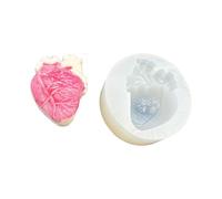 Forme a specchio resistenti al calore Cervello in silicone Superfici lisce per progetti scientifici anatomia educativa muffa Educazione A Natomia