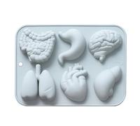 Forme anatomiche di - silicone per torte di , cioccolato e portasapone | 3D -cuore -epatico - stampo per intestino epatico flessibile in silicone alimentare, Halloween Baking & Craft Kit