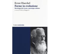 Forme in evoluzione