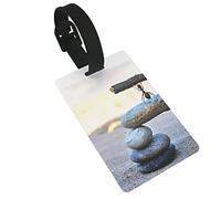 Formica coraggiosa atterrata su una pietra e cibo sollevato 2 pezzi etichette per bagagli, anello per etichetta identificativa per copertura privacy e scheda indirizzo per valigia da viaggio