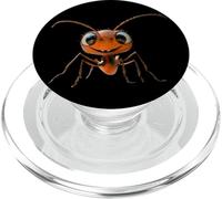 Formica Forestale Formica del Fuoco Insetto Piccole Formiche PopSockets PopGrip per MagSafe