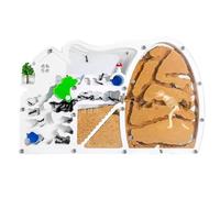 Formica Nido Habitat Delle Formiche Del Castello Della Fattoria Di Sabbia Con Scavo Dinosauri Per Studiare Il Comportamento Educativo Del'ecosistema Colonie Casette Per Formiche(Oranje)