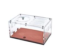 Formicaio, Ant Queen Nest Concrete acrilico con espansione e piscina d'acqua(Activity Area-a)