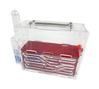 formicaio, Nido di formicaio Castello in acrilico Osservazione scientifica Fai da te Laboratorio formica Casa(Rosso)