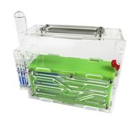 formicaio, Nido di formicaio Castello in acrilico Osservazione scientifica Fai da te Laboratorio formica Casa(Grün)