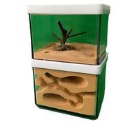 formicaio, Nido di formicaio, comportamento delle formiche, nido, castello educativo, in gesso trasparente