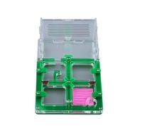 formicaio, Nido di formicaio in acrilico fai da te, studio del comportamento delle formiche, idratante, naturale, ecologico, espositore(Grün)