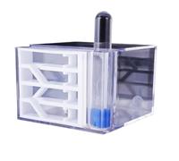 formicaio, Nido di formicaio, in acrilico, multi-spazio(B)