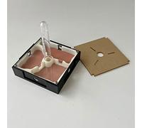 Formicaio, Nido for provette for formiche in acrilico multicolore(D)
