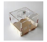 Formicaio, Nido for provette for formiche in acrilico multicolore(I)