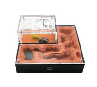 Formicario per formiche, Formica acrilica. Casa ecologica in gesso con mangime. Area for la razza regina. Formicario(B)