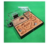 Formicario per formiche, Formica acrilica di gesso. Nido formiche con mangime. Area Display Box Laboratorio del castello degli insetti(A1)