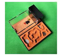 Formicario per formiche, Formica acrilica di gesso. Nido formiche con mangime. Area Display Box Laboratorio del castello degli insetti(B)