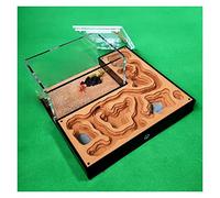 Formicario per formiche, Formica acrilica di gesso. Nido formiche con mangime. Area Display Box Laboratorio del castello degli insetti(A)