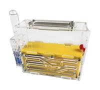 Formicario per formiche, Formicaio formicaio, Castello acrilico Nido di osservazione scientifica Multicolor 15 cm(Yellow)