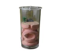 Formicario per formiche, Kit Osservazione Formicaio Formica Acrilico Rosa Bianco 13x6,7 cm(Pink)