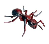 Formiche di plastica Figurine di animali realistiche Ciclo di crescita delle formiche Progetto scientifico Primi giocattoli educativi Figurine di animali di plastica Giocattoli educativi del giocatt